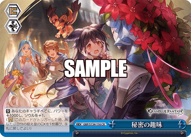 秘密の趣味  【GBF/S134-116CR】